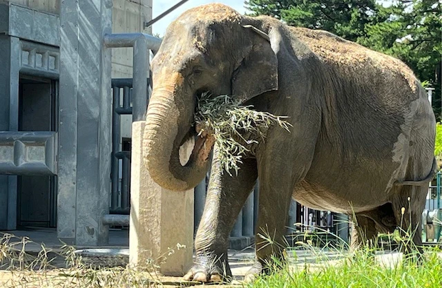 岡崎市東公園動物園