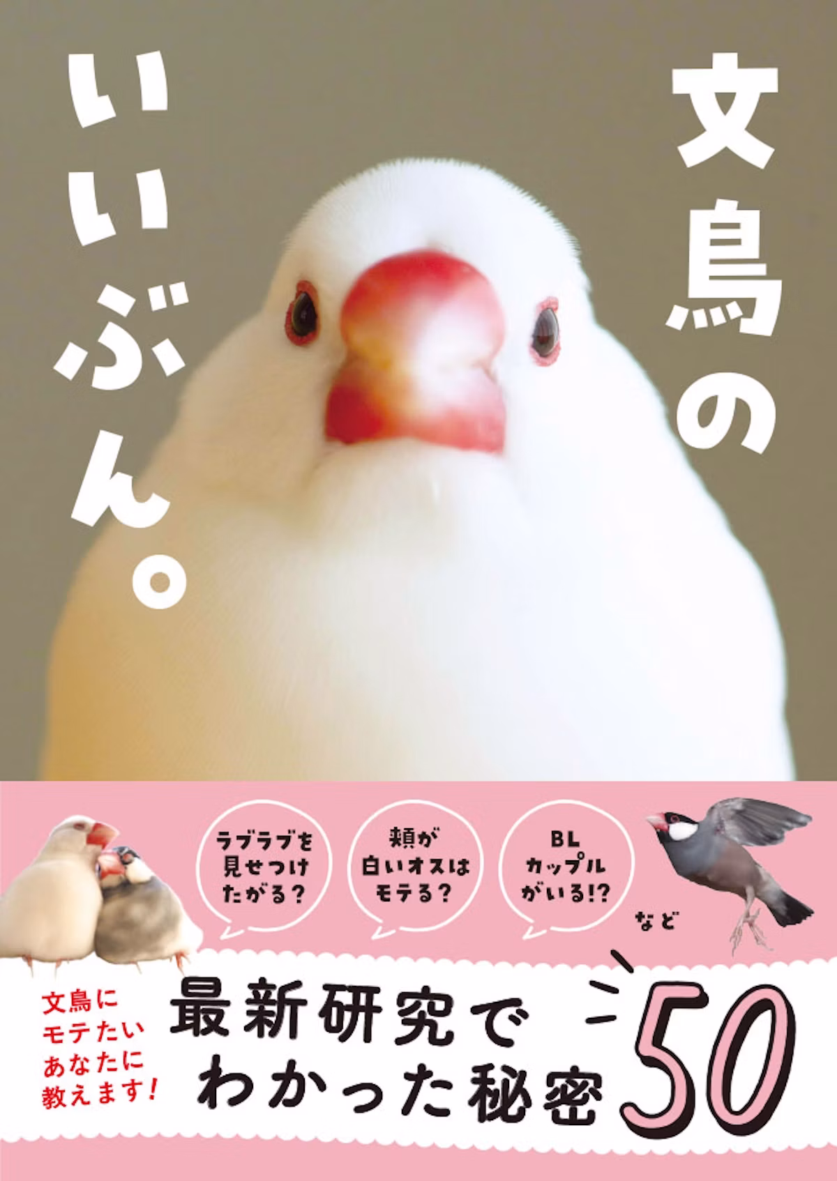 文鳥の生態“50の秘密”を解説！『文鳥のいいぶん。』発売へ