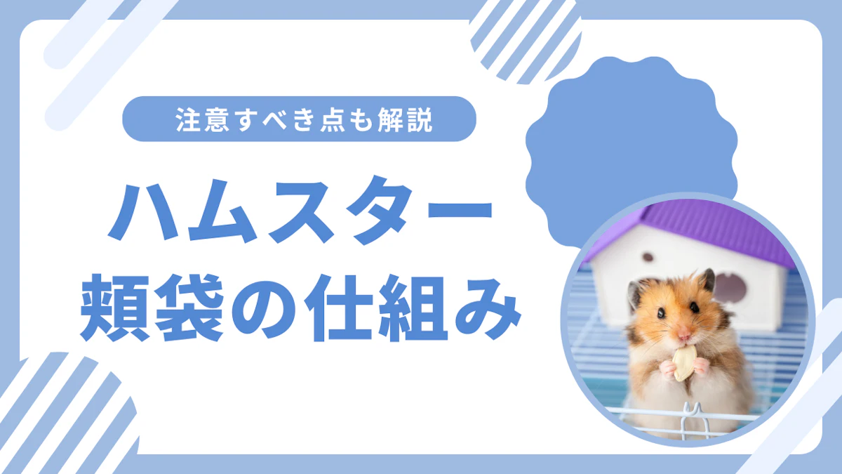 ハムスターの頬袋の仕組みとは？炎症や詰まりなどよくあるトラブルも解説