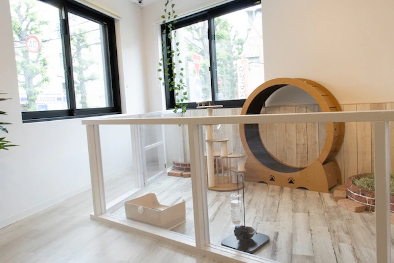 柔らかな日差しが差し込む店内