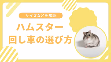 ハムスターの回し車選び方完全ガイド|サイズ・素材・静音性を徹底解説のサムネイル画像