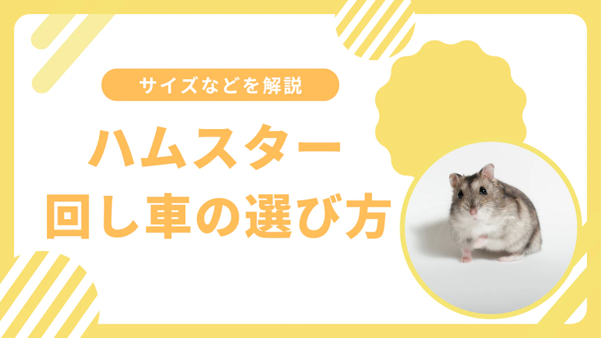 ハムスターの回し車選び方完全ガイド｜サイズ・素材・静音性を徹底解説のサムネイル画像