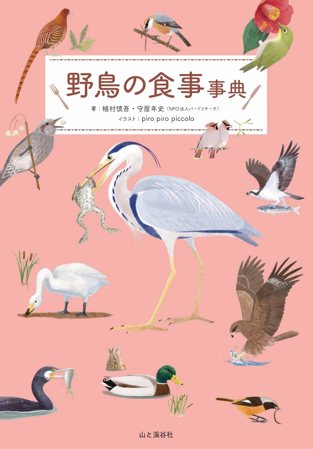 野鳥43種の食事をイラストで解説！『野鳥の食事事典』発売