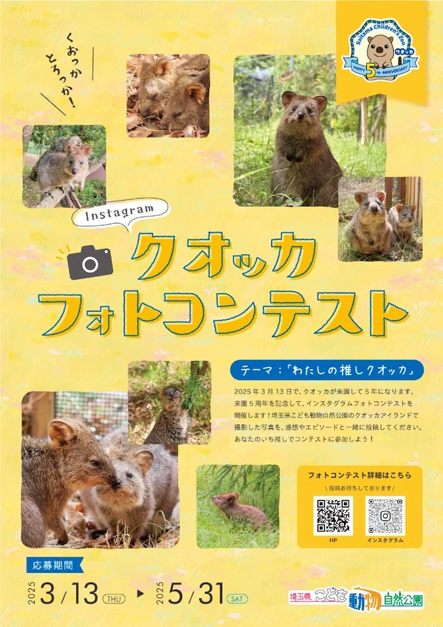 クオッカフォトコンテストチラシ