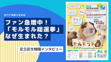 SNSで大反響！足立区生物園の「モルモル総選挙」はどのようにして企画された？のサムネイル画像