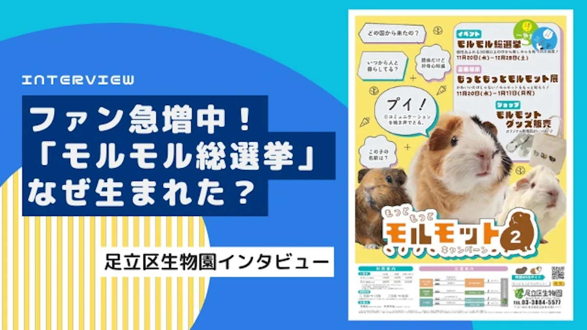 SNSで大反響！足立区生物園の「モルモル総選挙」はどのようにして企画された？