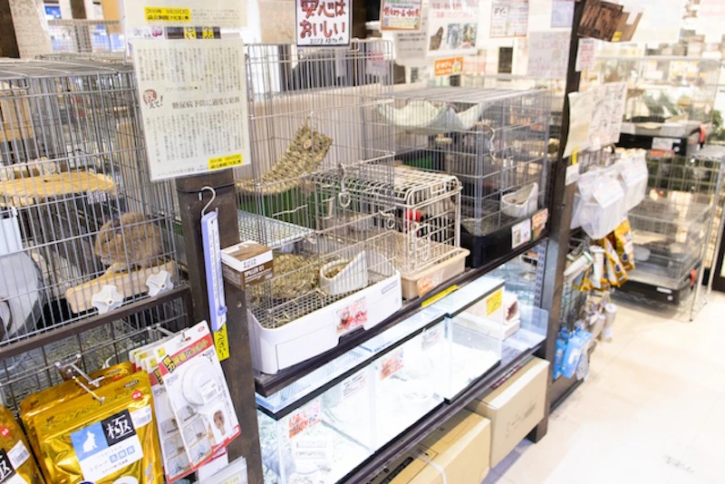 フィールドガーデン店内2