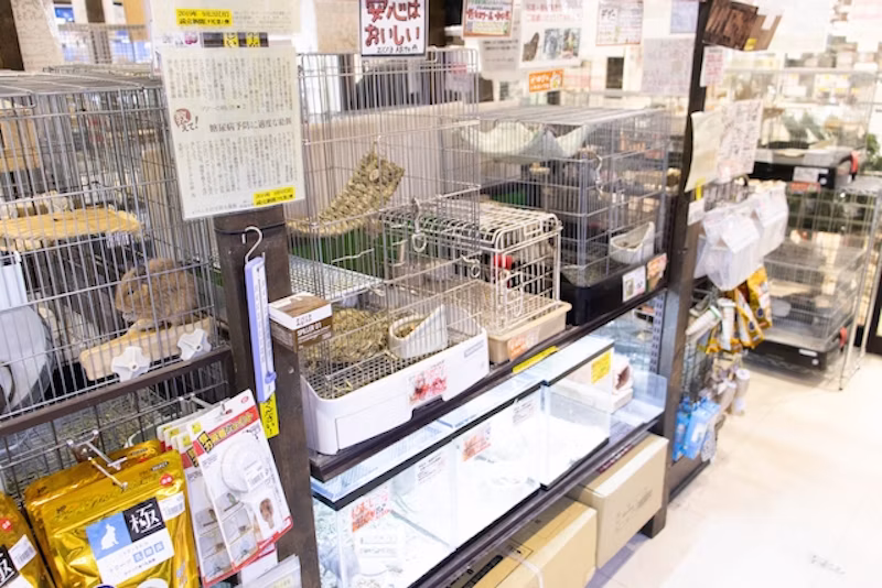 フィールドガーデン店内2