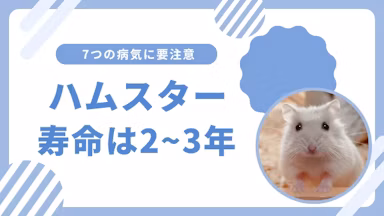 ハムスターの寿命はどのくらい？老化の5つのサインに注意のサムネイル画像