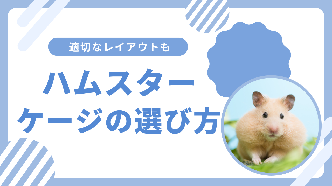 ハムスターケージの選び方ガイド｜おすすめサイズや適切なレイアウトを解説
