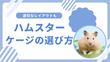 ハムスターケージの選び方ガイド|おすすめサイズや適切なレイアウトを解説のサムネイル画像