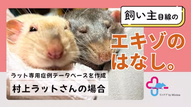 症例データベース「ラットシェア」に込めた想い。ファンシーラットの飼い主たちが繋ぐ情報の輪【エキゾのはなし。#4】のサムネイル画像