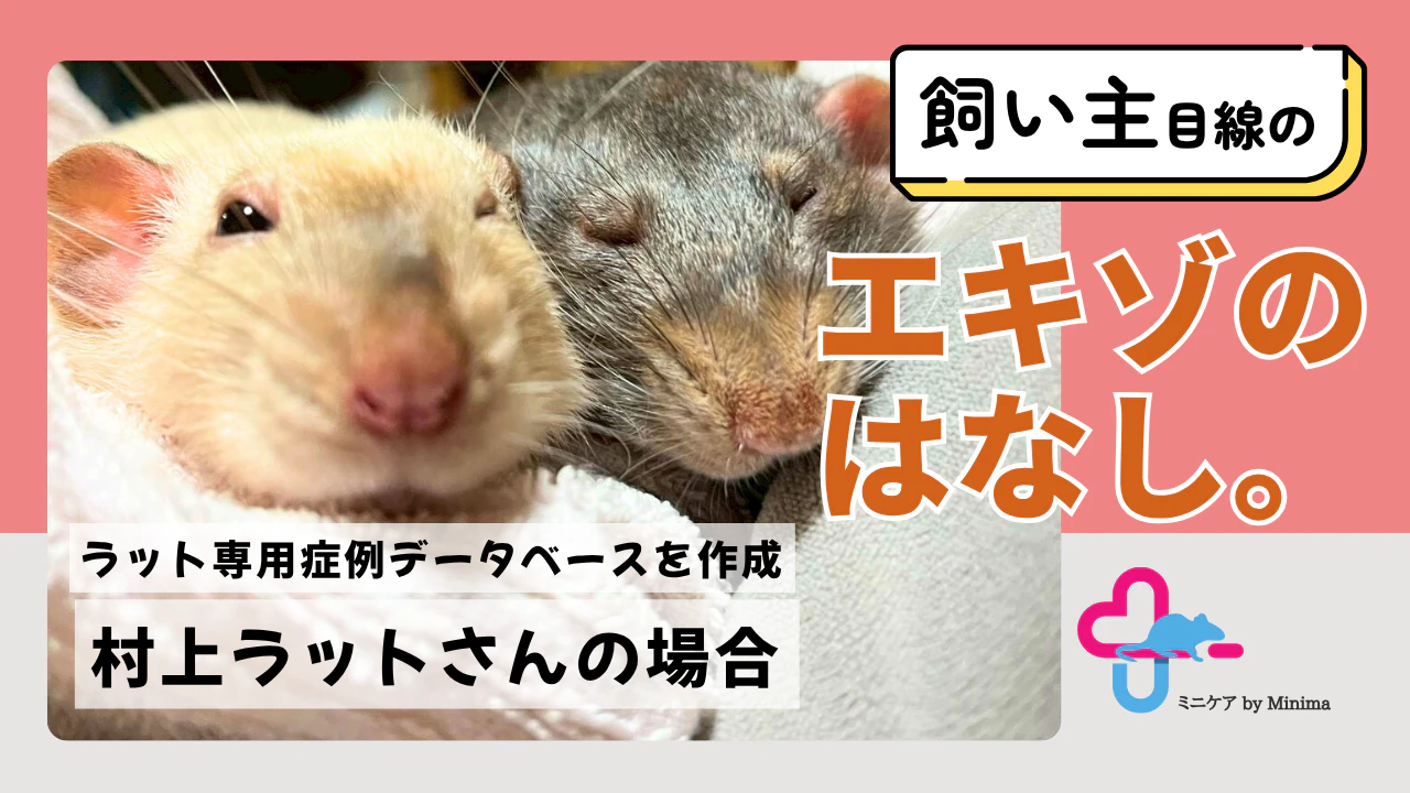 症例データベース「ラットシェア」に込めた想い。ファンシーラットの飼い主たちが繋ぐ情報の輪【エキゾのはなし。#4】のサムネイル画像