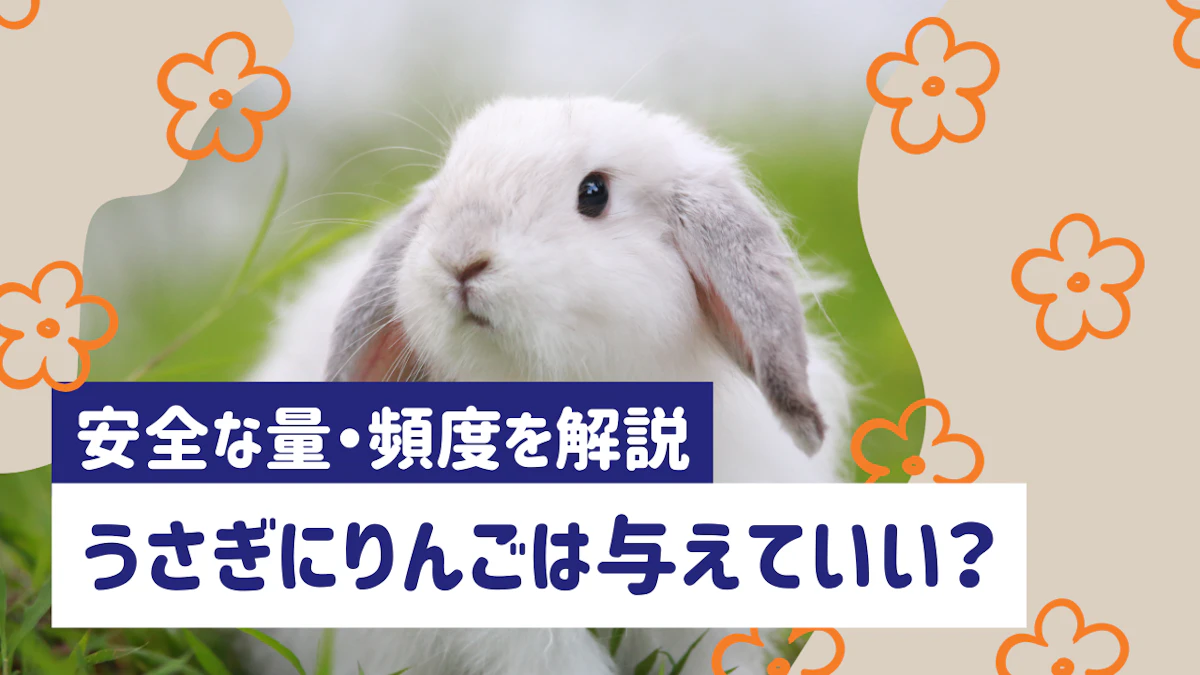 うさぎにりんごをあげていい？適量・与え方・注意点をわかりやすく解説