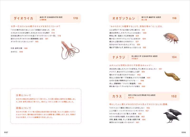 ダイオウイカなど