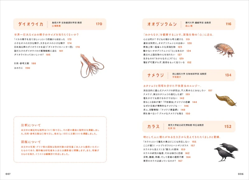 ダイオウイカなど