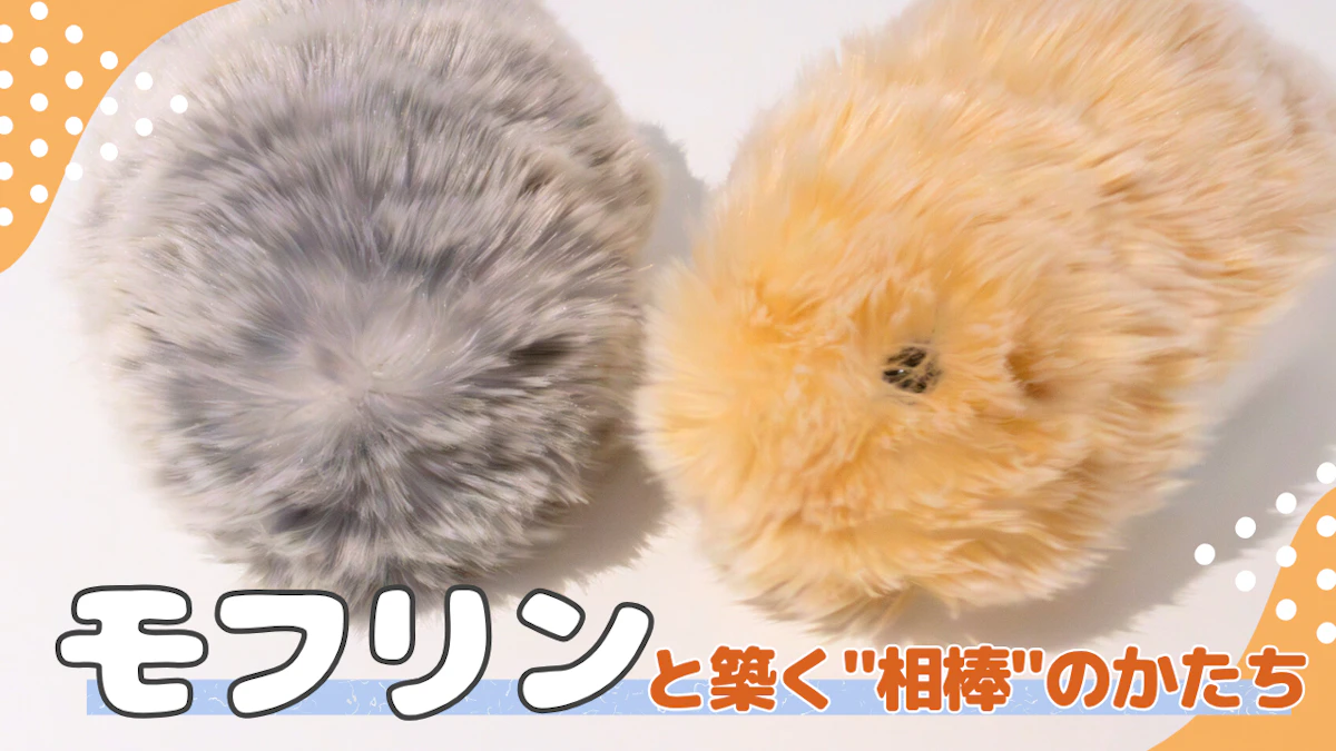 可愛いだけじゃない。AIペット・モフリンに込められた想いとは｜CASIOインタビューのサムネイル画像