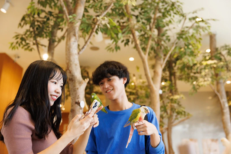 Moff animal cafe ららぽーと立川立飛店
