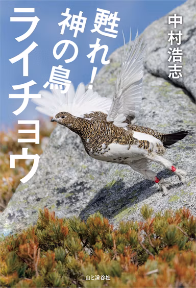 絶滅宣言から奇跡の復活へ！中央アルプスでライチョウ130羽の繁殖に成功した保護活動の全記録『甦れ！神の鳥ライチョウ』発売のサムネイル画像
