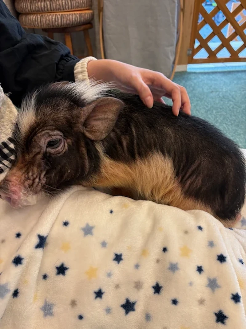 足の隙間が落ち着くようです