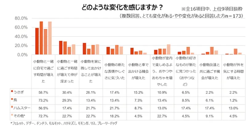 小動物ごとの関係性変化のグラフ