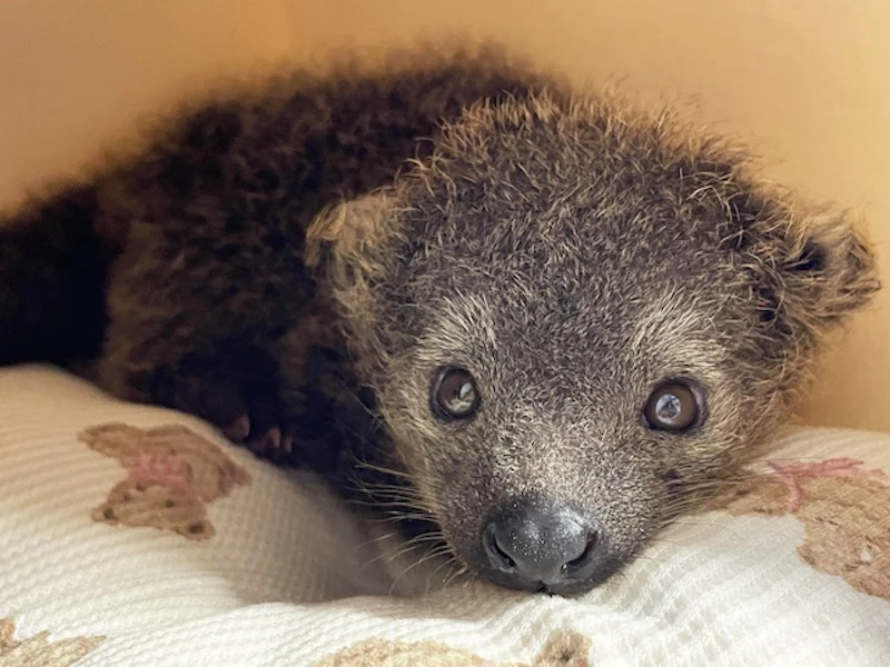 タイミングが良ければ会えるかも！