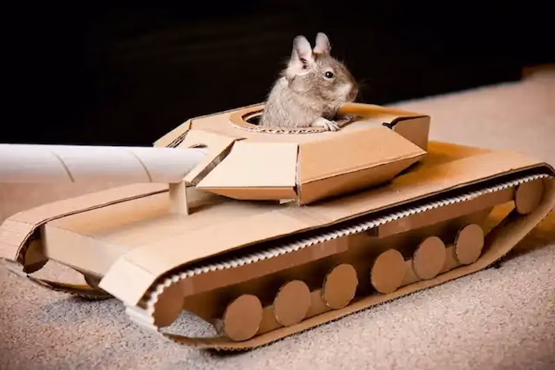 戦車に乗ったデグー