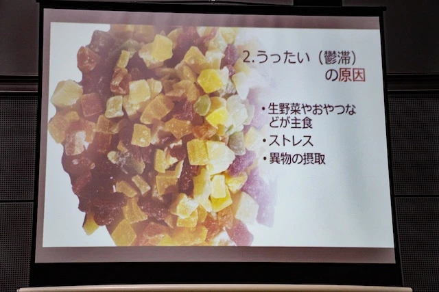 うっ滞の原因