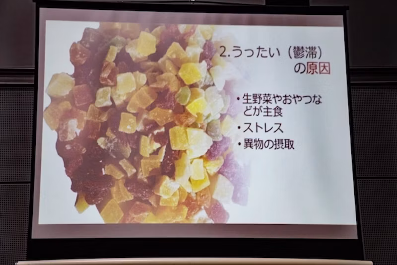 うっ滞の原因