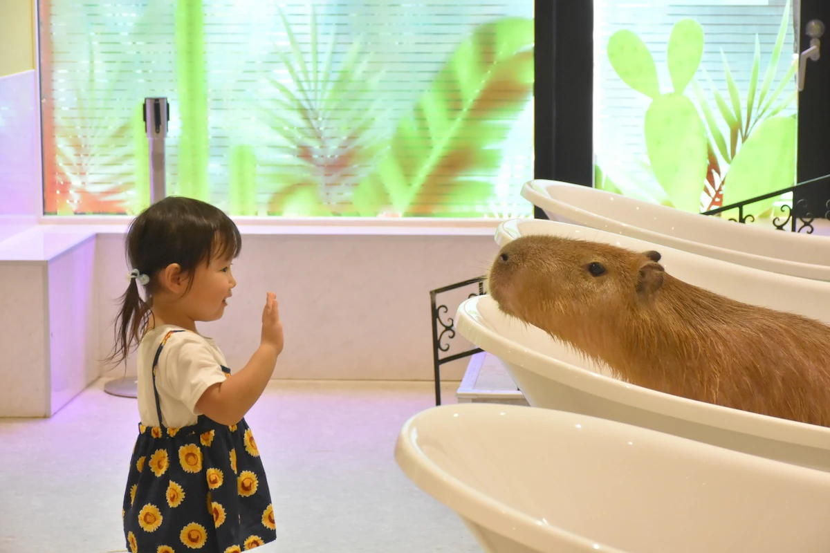 メンタルヘルスと動物との触れ合いについて。伊豆シャボテン動物公園運営「アニタッチ」の取り組みのサムネイル画像