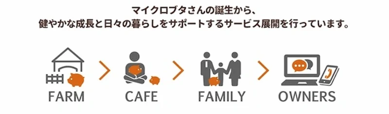 mipigのサービス展開について