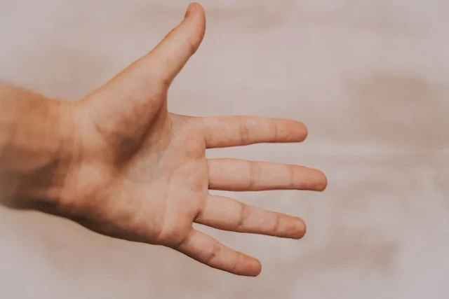 人間の手