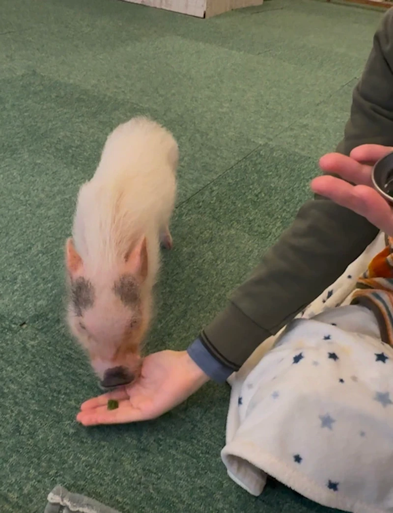 手の上にきゅうりを乗せます。いい食いっぷり。