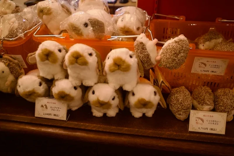 お土産コーナー