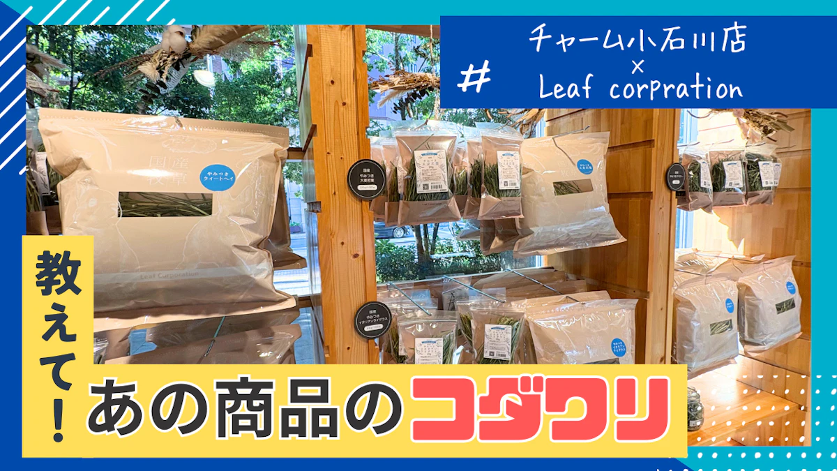チャームの国産牧草は「牧草を食べない」悩みに応える。牧草王子さんが語る“手作業”への想い【教えて！あの商品のコダワリ#2】のサムネイル画像