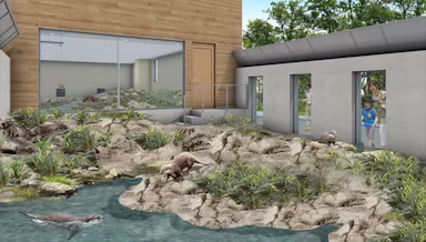 東武動物公園、2027年春に新カワウソ施設をオープン!2種類の比較展示や環境演出を導入のサムネイル画像