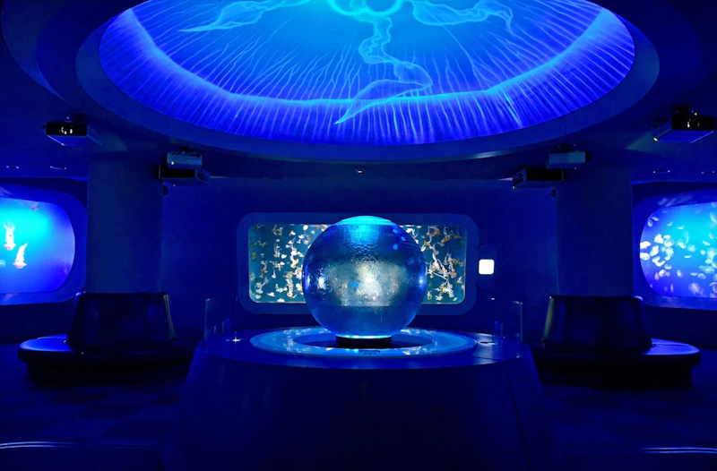 クラゲファンタジーホール