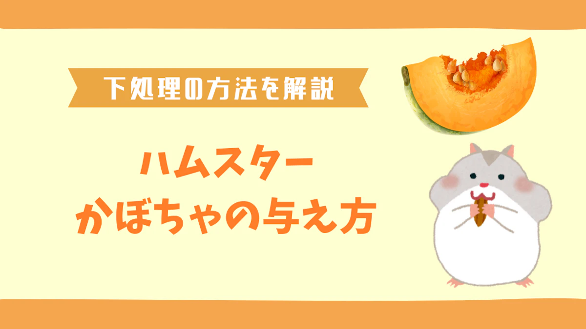 ハムスターにかぼちゃを与えても大丈夫？下処理と皮の扱いなど解説