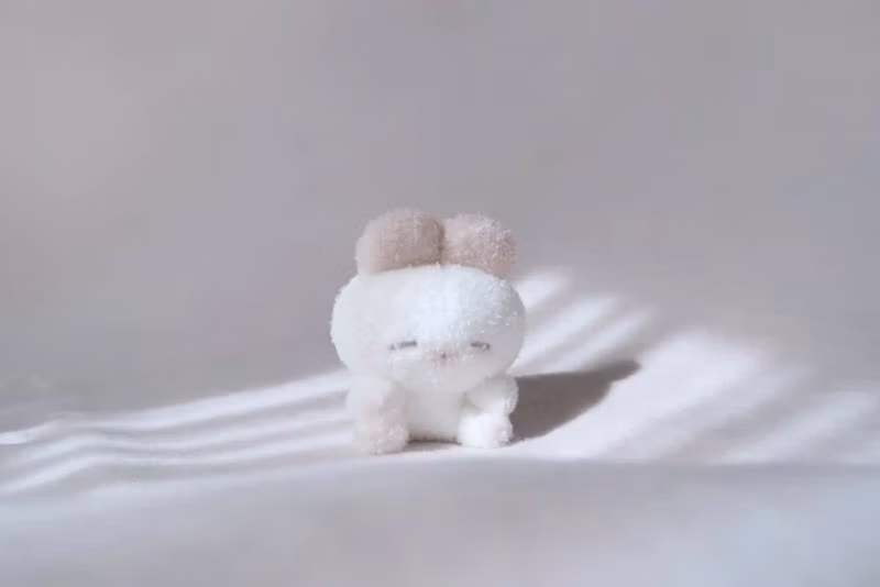 ローズブラウンのねむちゃん 正面