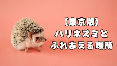 リサ・ラーソン「金のはりねずみ3兄弟」が15周年記念で復刻｜Minima