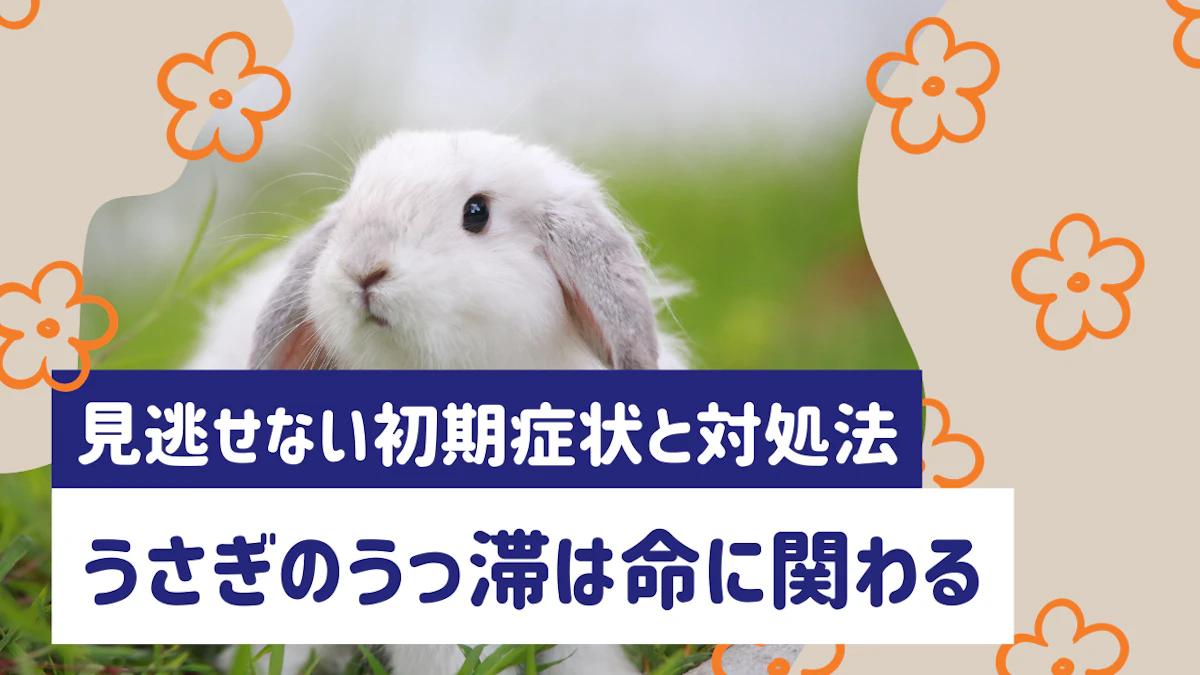 うさぎのうっ滞は命に関わる？見逃せない初期症状と対処・予防法を解説