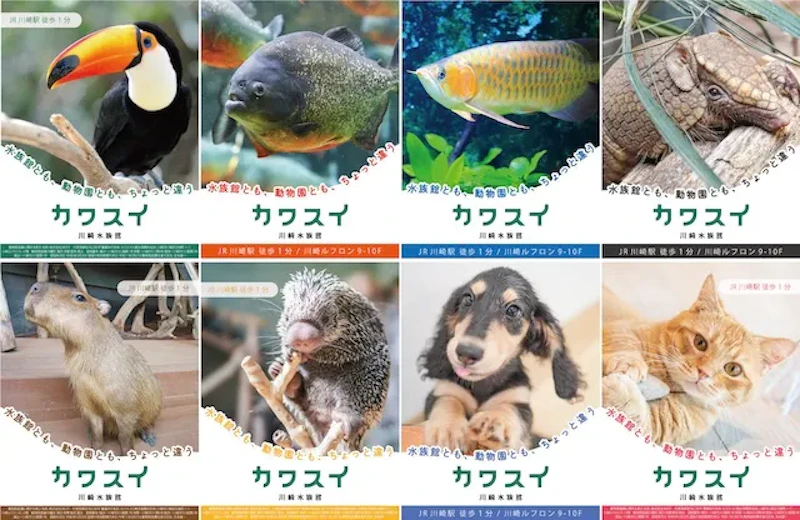 ラッピングデザイン（全８種）