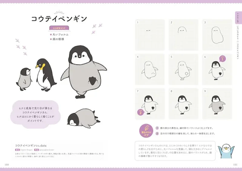 描く時に役立つBIRDSTORYさんからのコメントも掲載！（PART5 いろいろなとり／コウテイペンギン）