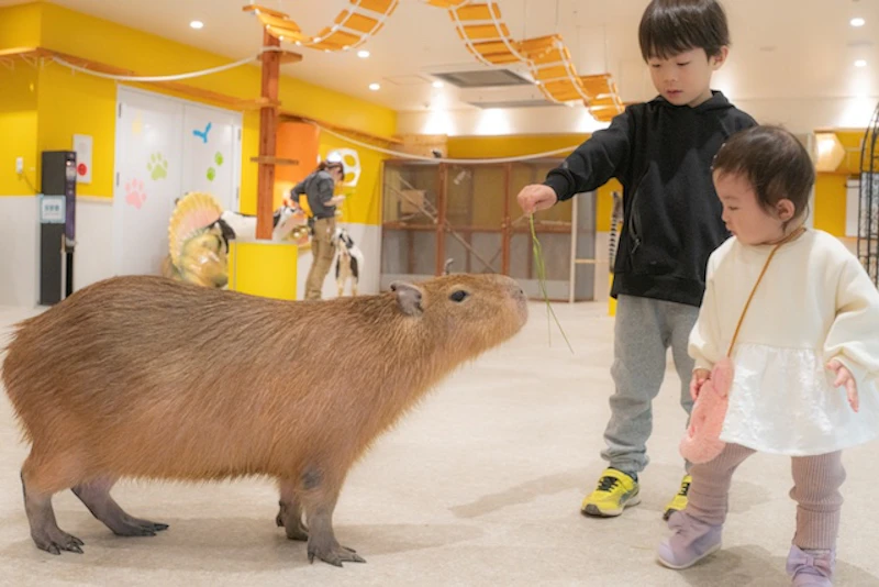 動物と子どもたち