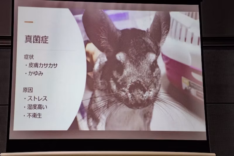 真菌症