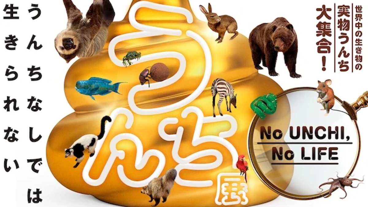 【特別展】うんち展×うんこドリル｜東京ドームシティで学ぶ、うんちが果たす生態系の役割