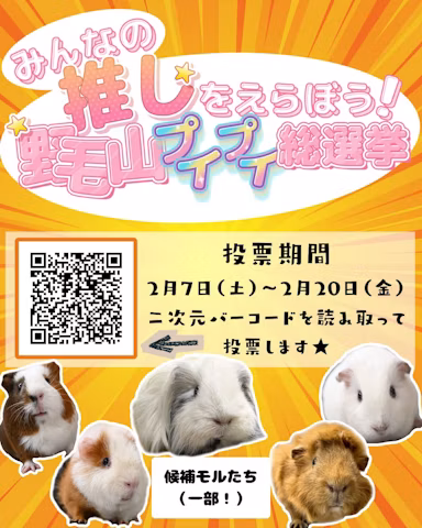 野毛山動物園で「モルモット総選挙」開催中!25頭の推しモルに投票しよう【2月20日まで】のサムネイル画像