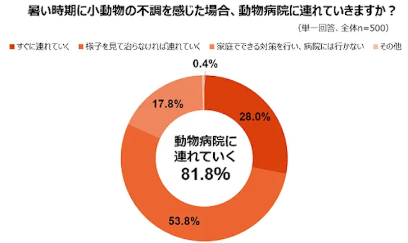 暑い時期に小動物の不調を感じたら動物病院に連れて行くかのアンケート