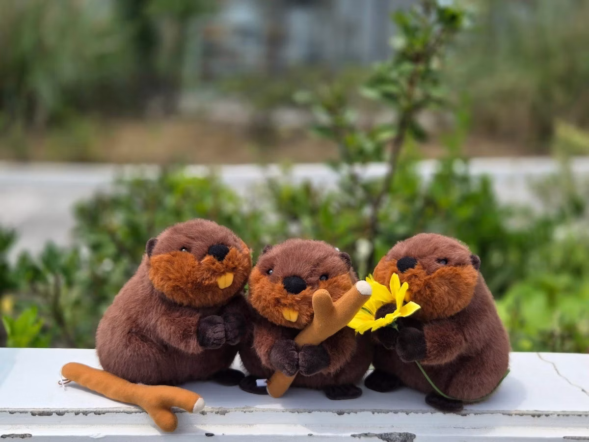 アトア、飼育員監修のビーバーぬいぐるみとポルカドットスティングレイのアクセサリーを発売