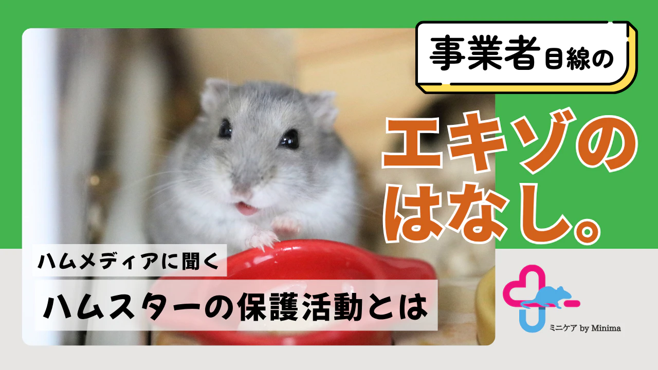 保護してきたハムスターは200匹以上！「ハムメディア」代表に聞く保護活動の現状【エキゾのはなし。#5】